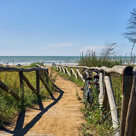 Lejlighed Lovely Seaview Flat - Beahost